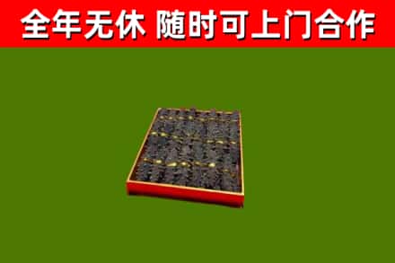 七台河回收海参